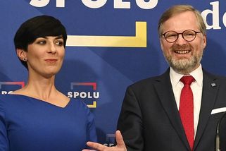 Nová vláda: dvě křesla pro Piráty, pro ODS šest a premiér? - Novinky